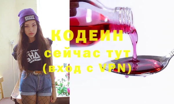 дурь Алексин