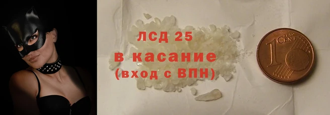 PSILOCYBIN Алзамай