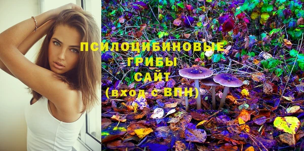 дурь Алексин