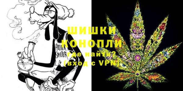 PSILOCYBIN Алзамай