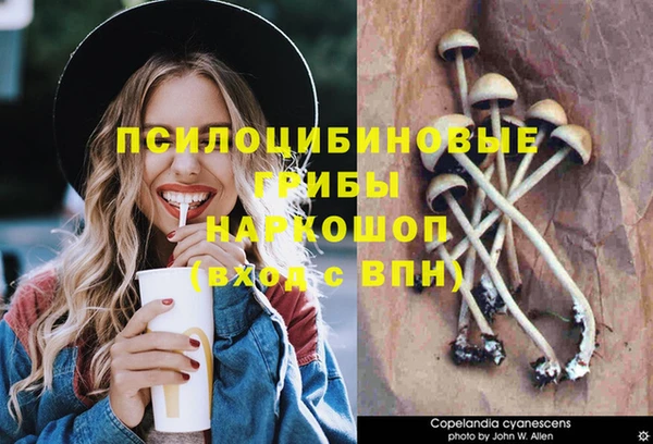 прущие грибы Алексеевка