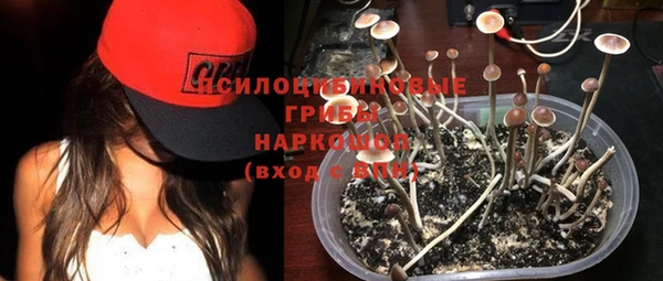 прущие грибы Алексеевка