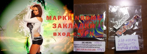 PSILOCYBIN Алзамай