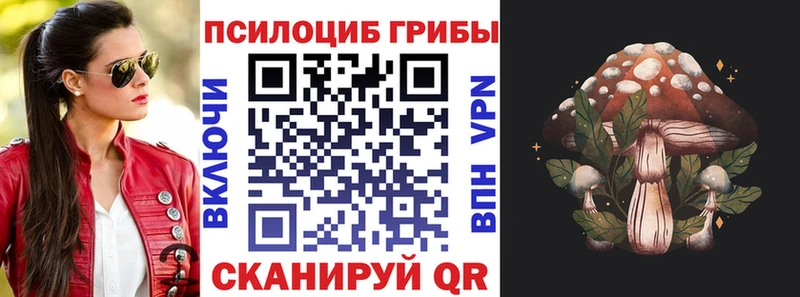 Псилоцибиновые грибы GOLDEN TEACHER МЕГА ONION Ликино-Дулёво дарнет шоп